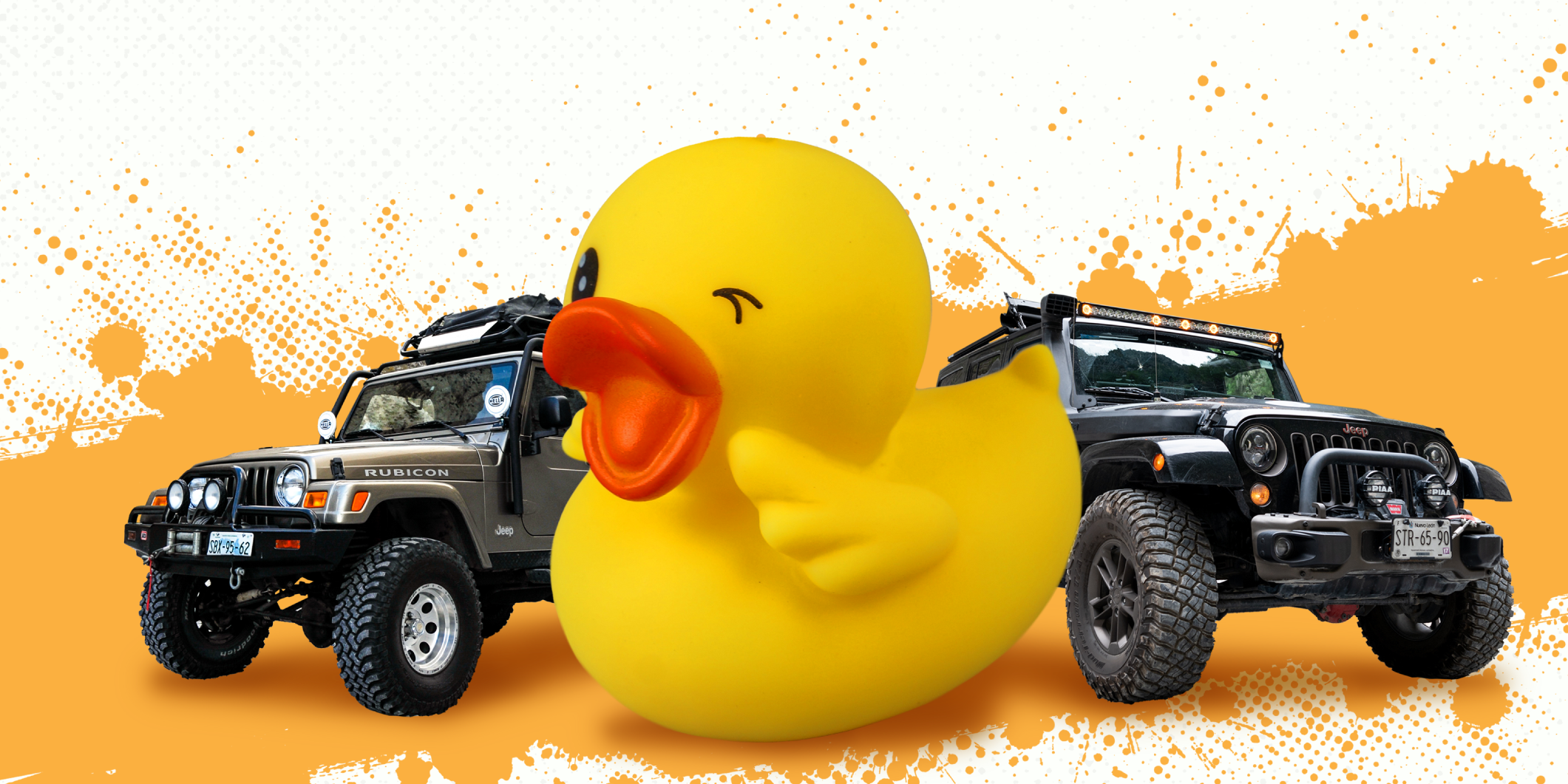 Rubber Ducks and Secret Waves: Why Everyone Wants to Own a Jeep