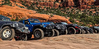 Go Topless Day