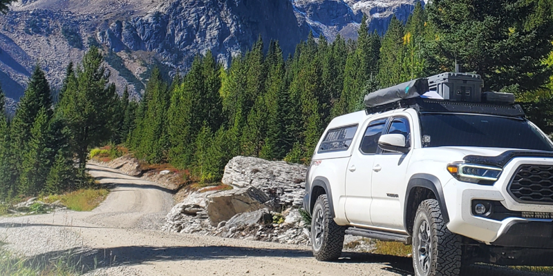 Grounded by Choice: Why More Families Are Driving Instead of Flying This Holiday Season