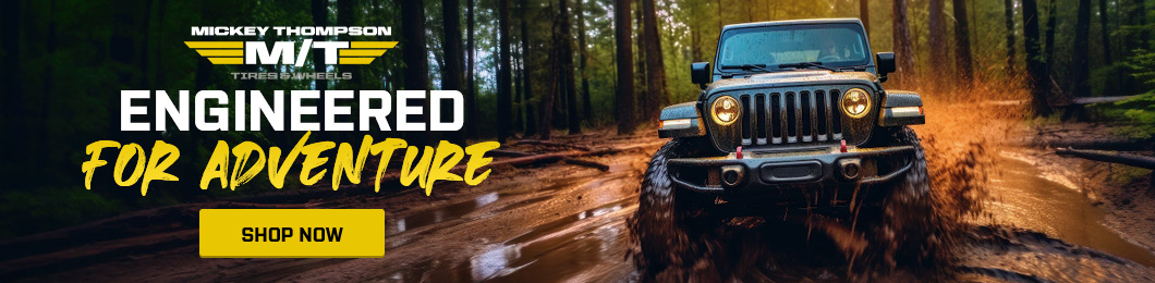 Promo Banner
