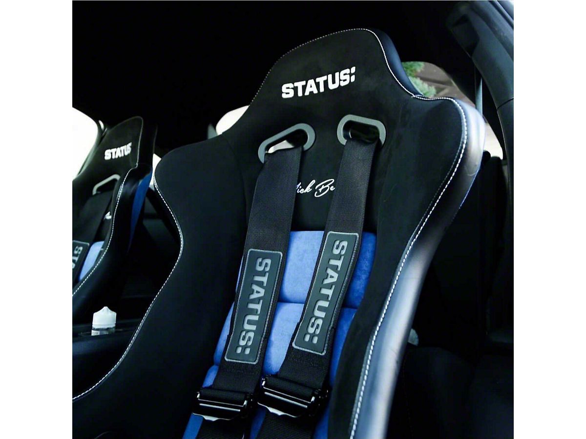 5 point camlock harness sale