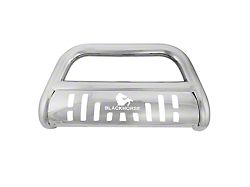 Bull Bar with Skid Plate; Stainless Steel (03-09 4Runner)