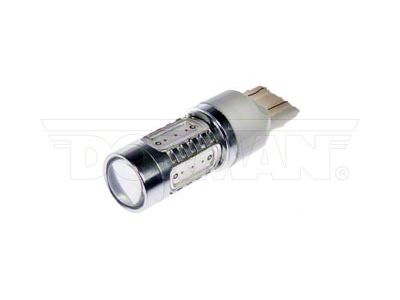 LED Bulb; Amber; 7443