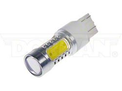 LED Bulb; White; 7443