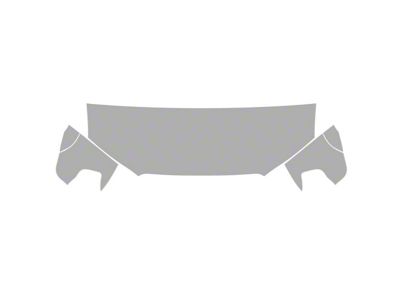 Paint Protection PPF Pre-Cut Kit; Hood/Fenders; Gloss (14-24 4Runner SR5)