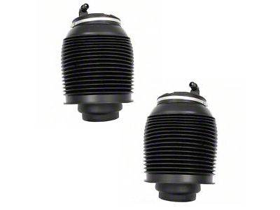 Rear Air Spring (03-09 4Runner)