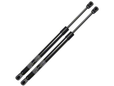 Tailgate Lift Support Struts (10-15 4Runner)