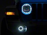 Raxiom Axial Series 9-Inch Angel Eye LED Headlights and LED Fog Lights; Black Housing; Clear Lens (20-26 Jeep Gladiator JT)