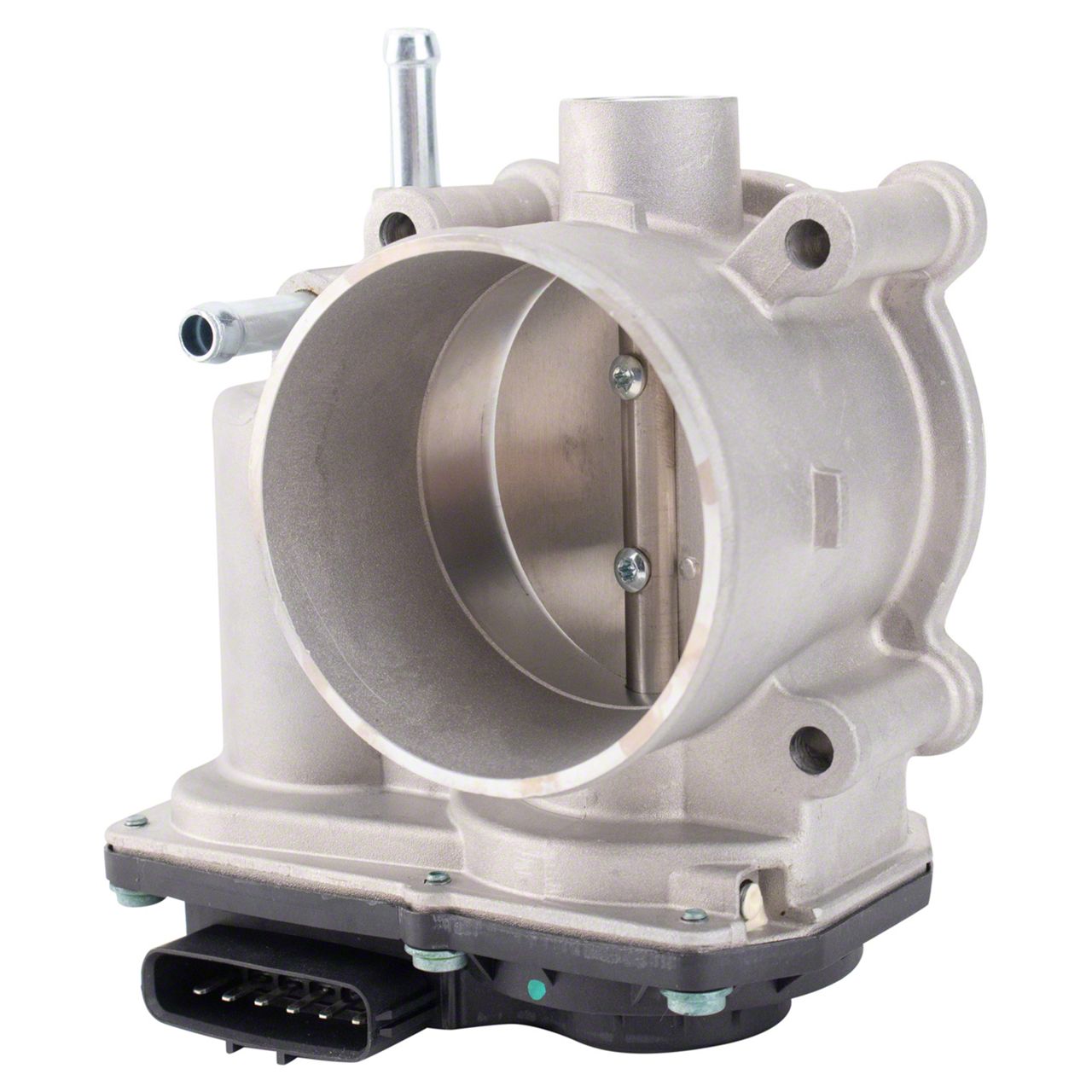 トリニダード　tomoro トリニダードtomoro