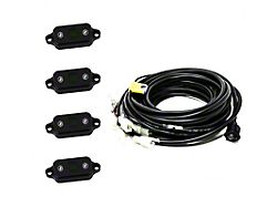 Baja Designs Rock Lights; Green (Universal; Some Adaptation May Be Required)