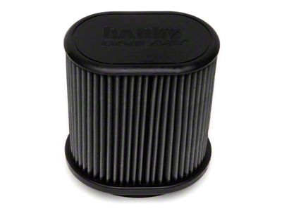 Banks Power Replacement Ram Air System Filter; Dry (20-25 3.6L Jeep Gladiator JT)