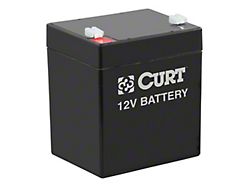Breakaway Battery