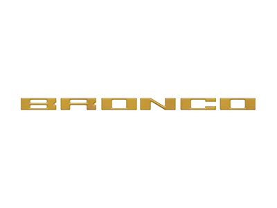 Glove Box Letter Inserts; Cyber Orange (21-25 Bronco)