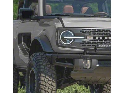 Mirror Back Blackout Vinyl Decal; Gloss Black (21-25 Bronco)