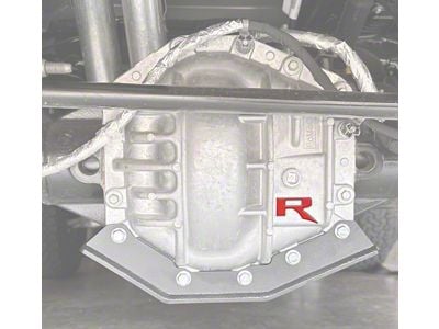 Raptor R Differential Letter Overlay; Forged Carbon Fiber (22-25 Bronco Raptor)