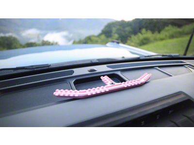The Slingshot BYOD Dash Rail; Pink (21-25 Bronco)