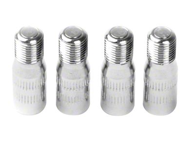 Tire Valve Extensions; 3/4-Inch Long