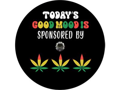 Todays Good Mood is Sponsored By Spare Tire Cover with Camera Cutout; Black (21-25 Bronco)