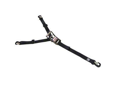 Bulldog Winch Horizontal Tire Ratcheting Tie-Down Strap; Y Configuration