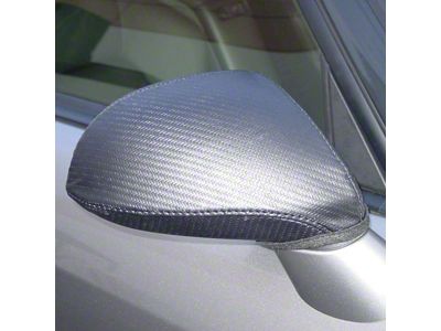 Covercraft Colgan Custom Mirror Bra; Carbon Fiber (22-25 Frontier)