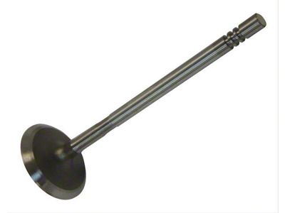 Engine Intake Valve (03-06 2.4L Jeep Wrangler)