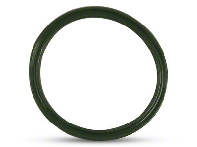 Fuel Vapor Cansiter Seal (07-18 Jeep Wrangler JK)