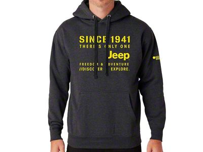 Detroit Shirt Company Men's Since 1941 Hoodie; Charcoal