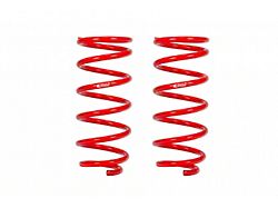 Eibach 1-Inch Rear Pro-Lift Springs (19-24 4Runner TRD Pro)