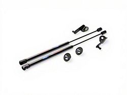 Ford Performance Hood Lift Kit (21-26 Bronco, Excluding Everglades & Raptor)