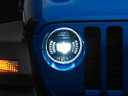 Diode Dynamics Elite Max LED Headlights; Black Housing; Clear Lens (20-25 Jeep Gladiator JT)