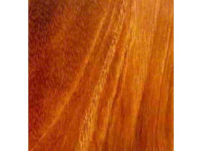 RETROLINER Real Wood Bed Liner; Tiger Wood; HydroSatin Finish; Polished Stainless Punched Bed Strips (05-21 Frontier w/ 5-Foot Bed)