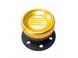 Fuelab Direct Fuel Filler Kit with Cap (Universal; Some Adaptation May Be Required)