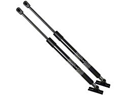 Tailgate Lift Supports (97-01 Jeep Cherokee XJ)