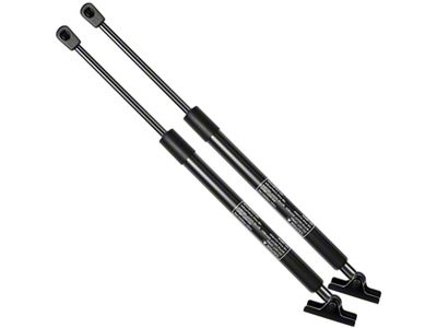 Tailgate Lift Supports (97-01 Jeep Cherokee XJ)