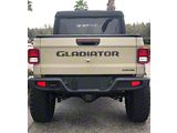 Gladiator Tailgate Letters; Domed Carbon Fiber (20-25 Jeep Gladiator JT)