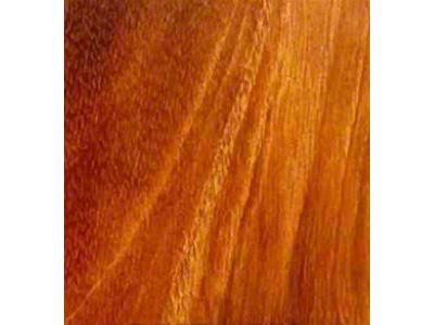 RETROLINER Real Wood Bed Liner; Tiger Wood; HydroShine Finish; Polished Stainless Punched Bed Strips (20-25 Jeep Gladiator JT)