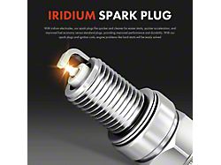 Ignition Coil Set with Iridium Spark Plugs; Black (16-18 3.6L Jeep Grand Cherokee WK2)