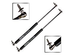 Liftgate Lift Support Struts (99-04 Jeep Grand Cherokee WJ)