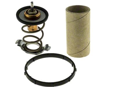 Thermostat Insert with Seal; 203-Degree (11-15 Jeep Grand Cherokee WK2)