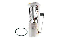 Fuel Pump Assembly (05-06 Jeep Wrangler TJ)