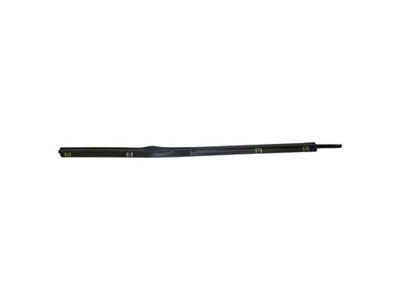 Outer Door Glass Weatherstrip; Passenger Side (97-06 Jeep Wrangler TJ)