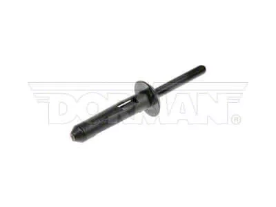 Plastic Blind Rivet; 35/64-Inch