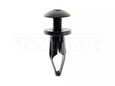 Retainer Screw; 1/4-Inch; 2-Pieces