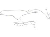 Dana 35 Stainless Steel Brake Line Kit (97-02 Jeep Wrangler TJ)