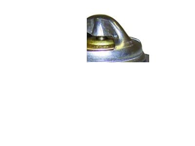Thermostat; 195 Degree (07-11 3.8L Jeep Wrangler JK)