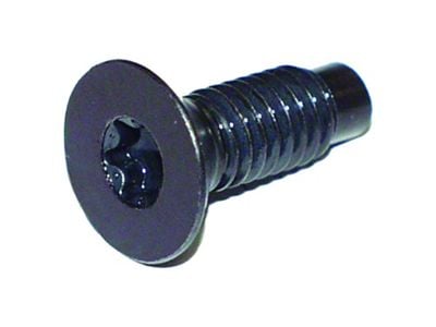 Windshield Hinge Screw (76-06 Jeep CJ5, CJ7, Wrangler YJ & TJ)