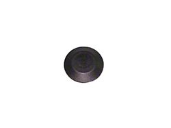 Tailgate Plug; Stainless Steel (97-06 Jeep Wrangler TJ)