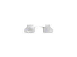 Miller Cat Anti-Theft Cat Rear Shields Add-On; 12-Gauge Stainless Steel (07-21 2WD Tundra)