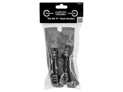 Motley Industries Grab Handles; Gray (21-25 Bronco)