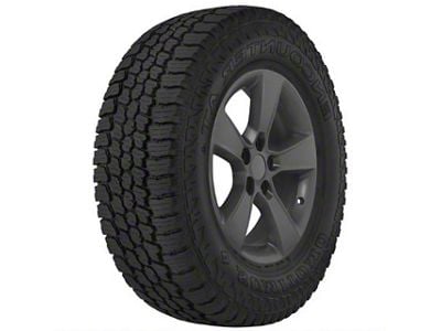 Nexen Roadian HTX2 Tire (29" - 225/75R16)
